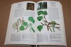 Gids voor geneeskrachtige planten. Reader's Digest., Boeken, Ophalen of Verzenden, Gelezen, Kruiden en Alternatief