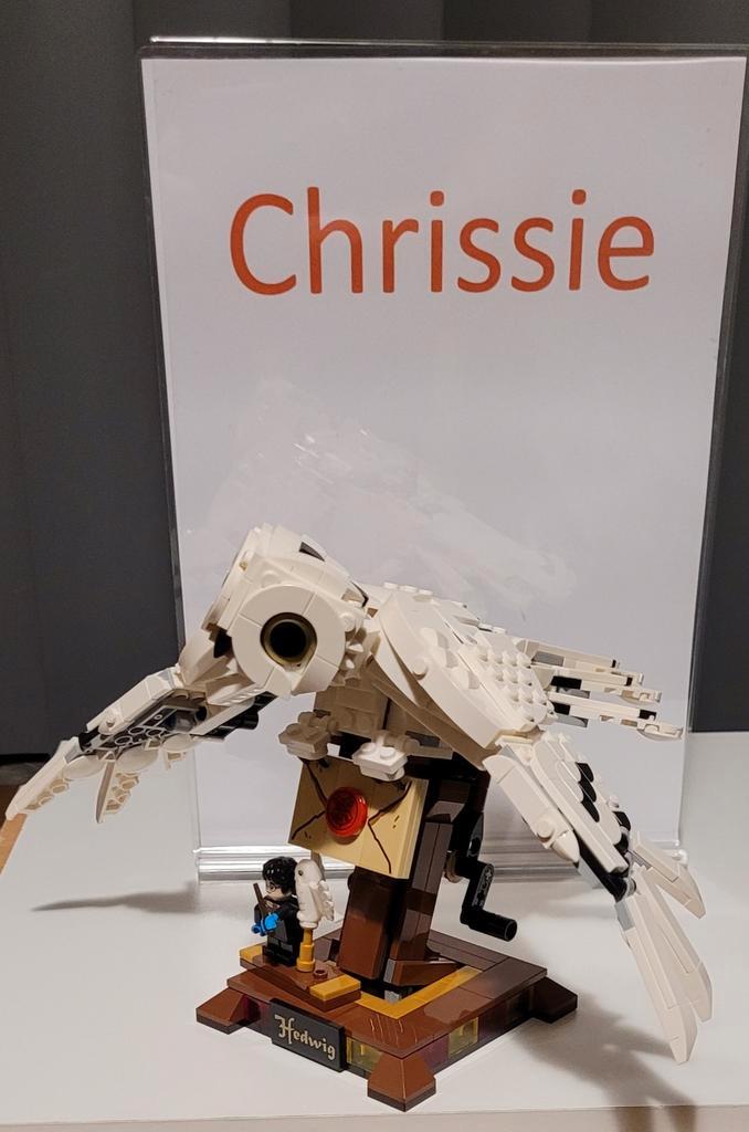 LEGO 75979 Harry Potter Hedwig - Uil, Kinderen en Baby's, Speelgoed | Duplo en Lego, Zo goed als nieuw, Lego, Complete set, Ophalen