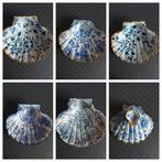 Sint Jacobsschelpen Decoratief delftsblauw, Overige materialen, Schaal, Ophalen of Verzenden, Zo goed als nieuw