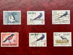 vogels - Zuid-Afrika - restkavel, Verzenden, Gestempeld, Dier of Natuur