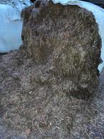 10 grote balen najaar gras, Dieren en Toebehoren, Dierenvoeding, Ophalen, Vee