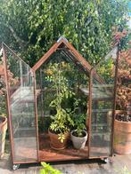 Vintage tuinkas greenhouse druivenkas, Tuin en Terras, Kassen, Ophalen, Glas, Zo goed als nieuw, Aluminium