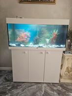 JUWEL AQUARIUM, Dieren en Toebehoren, Ophalen of Verzenden, Zo goed als nieuw