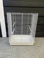 Vogelkooi gebruikt, Dieren en Toebehoren, Ophalen, Gebruikt, Metaal, Vogelkooi