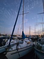 Kajuit Zeilboot Kievit 820 - Fijne zeiler!, Watersport en Boten, Ophalen of Verzenden, Gebruikt