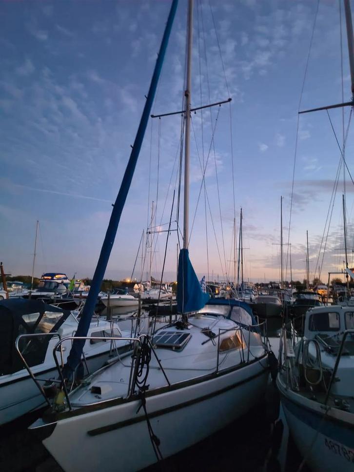 Kajuit Zeilboot Kievit 820 - Fijne zeiler!, Watersport en Boten, Zeilen en Zeiltoebehoren, Gebruikt, Ophalen of Verzenden