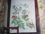 Borduurpatroon  Tomaten plant  nr 6367, Hobby en Vrije tijd, Borduren en Borduurmachines, Verzenden, Nieuw, Handborduren, Patroon