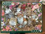 Falcon puzzel 1000 stukjes, Ophalen of Verzenden, Zo goed als nieuw
