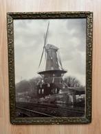 Oude foto van Molen de Roos in Delft, Antiek en Kunst, Ophalen