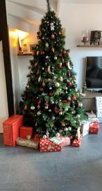 Kerstboom Atlanta Cranenbroek, Ophalen, Zo goed als nieuw