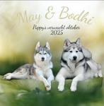 Verwacht pups  Husky x Alaskan Malamute, Dieren en Toebehoren, CDV (hondenziekte), 8 tot 15 weken, Poolhond, Meerdere