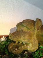 Waterspuwer / gargouille, Ophalen