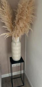 Pampas pluimen, Huis en Inrichting, Woonaccessoires | Droogbloemen, Ophalen, Zo goed als nieuw