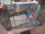 Hamster kooi...inclusief alle toebehoren, Dieren en Toebehoren, Kooi, Gebruikt, Minder dan 75 cm, Hamster