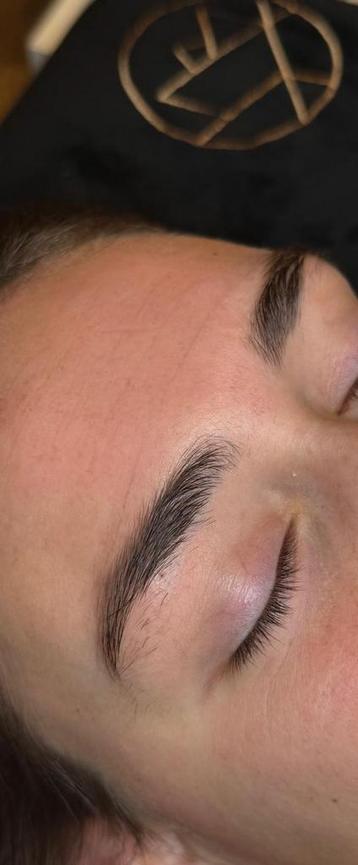Henna/verven/wenkbrauwen/harsen/epileren beschikbaar voor biedingen