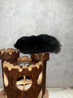 Jonge goudhamster, Dieren en Toebehoren, Knaagdieren, Hamster, Mannelijk, Januari, Tam