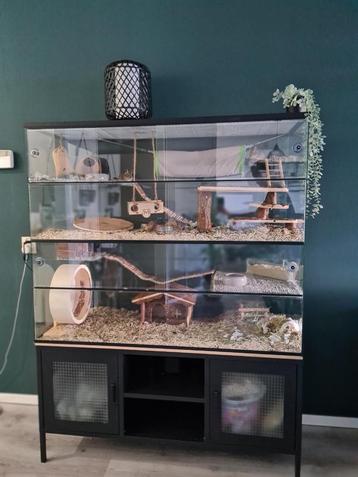 Luxe Chinchilla Villa 120x50x120 cm – Volledig Zonder Tralie beschikbaar voor biedingen