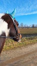 Bijrijd verzorg pony gezocht!!, Dieren en Toebehoren, Ophalen