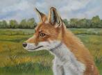 schilderij Vos 229 - Gratis lijst GRATIS verzending wildlife, Ophalen of Verzenden