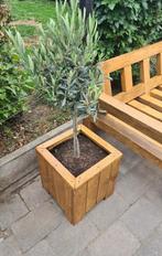 Plantenbak De Cube - stevig en natuurlijk - Op voorraad, Ophalen, Tuin, Minder dan 60 cm, Vierkant