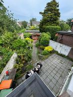 Planten & tegels gratis op te halen, Ophalen, Overige soorten, Halfschaduw