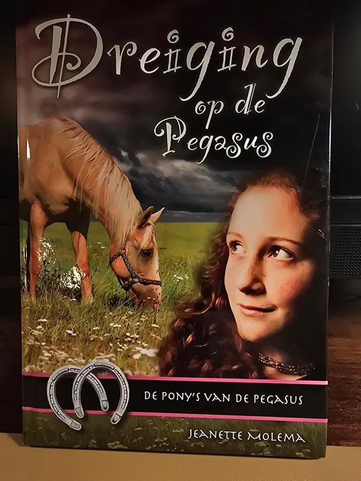 Dreiging op de Pegasus - Jeanette Molema, Boeken, Kinderboeken | Jeugd | onder 10 jaar, Zo goed als nieuw, Fictie algemeen, Ophalen of Verzenden