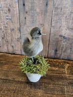 opgezet eendje ``WOONWINKEL RUSTIEK``, Ophalen of Verzenden