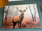 Grote Canvas Hert in mistig Bos., Ophalen, Zo goed als nieuw, 75 cm of meer