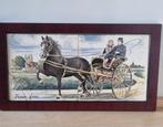Handbeschilderd tegeltableau “Friese Sjees”, Ophalen of Verzenden