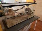 Knaagdieren bak met 3 gerbils, Dieren en Toebehoren, Ophalen, Zo goed als nieuw, Terrarium of Paludarium