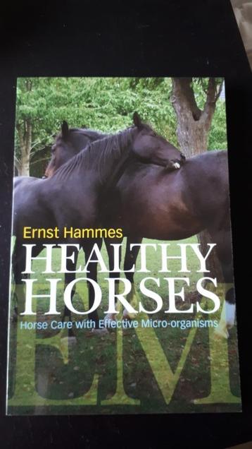   Ernst Hammes - Healthy horses beschikbaar voor biedingen