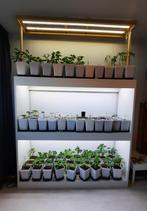 Indoor Garden Shelves with LED lighting, Tuin en Terras, Kweekspullen, Overige typen, Gebruikt, Ophalen