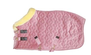 Zgan Kentucky deken maat grote shet/a/b pony beschikbaar voor biedingen