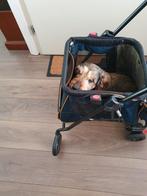 Hondenwandelwagen voor kleine honden, Dieren en Toebehoren, Ophalen, Gebruikt