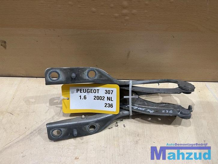 PEUGEOT 307 motorkap scharnier set 2000-2007, Auto-onderdelen, Carrosserie en Plaatwerk, Peugeot, Gebruikt, Ophalen of Verzenden