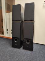 Verity Audio Rienzi  High-End vloerstaande luidsprekers, Overige merken, Gebruikt, Ophalen of Verzenden, Nvt