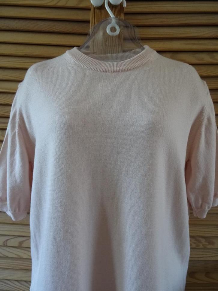 Peter Hahn pure tasmanian wol top mt M, Kleding | Dames, Tops, Zo goed als nieuw, Maat 38/40 (M), Overige kleuren, Korte mouw