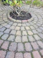 Klinkers voor stenen cirkel (6 rijen), Tuin en Terras, Tegels en Klinkers, Gebruikt, Klinkers, Beton, 5 tot 10 m²