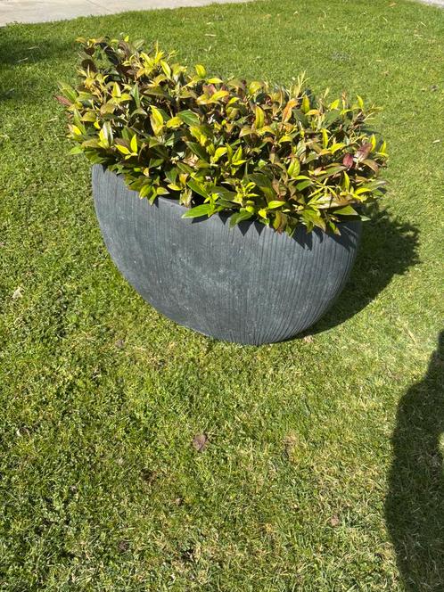 Bloembak plantenbak donkergrijs ovaal, Tuin en Terras, Bloembakken en Plantenbakken, Nieuw, Steen, Binnen, Balkon, Tuin, Minder dan 30 cm