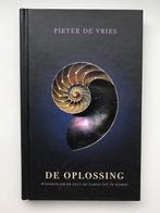 De oplossing - Pieter de Vries, Ophalen of Verzenden, Zo goed als nieuw