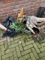 Terrarium hout/versiering, Ophalen, Zo goed als nieuw