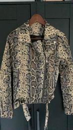 Colourful rebel jasje maar 36, Overige kleuren, Colourful Rebel, Ophalen of Verzenden, Zo goed als nieuw