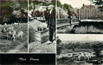 (388-458-039) Ommen beschikbaar voor biedingen
