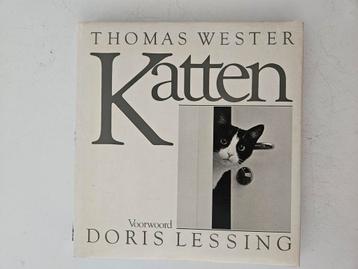 Katten - Thomas Wester beschikbaar voor biedingen