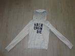 hoodedsweater van ABERCROMBIE & FITCH, maat L, Kleding | Dames, Ophalen of Verzenden, Gedragen, Maat 42/44 (L), Overige kleuren