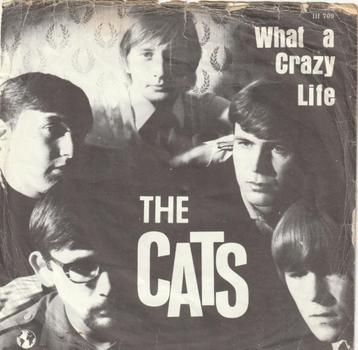 	 Cats - What A Crazy Life & Hopeless Try-Nederbeat 1966 beschikbaar voor biedingen