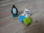 Lego Duplo 10501 Jonge dieren, Ophalen of Verzenden, Gebruikt, Duplo