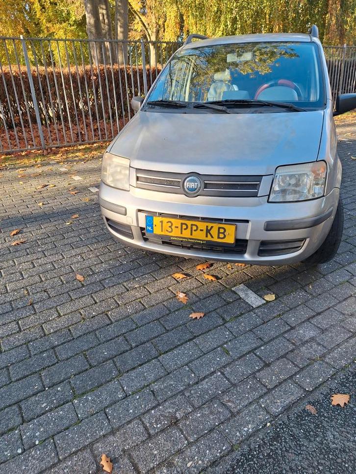 Fiat panda, Auto's, Fiat, Particulier, Ophalen