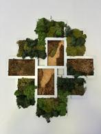 Mos schilderij 54x49cm handgemaakt, Ophalen