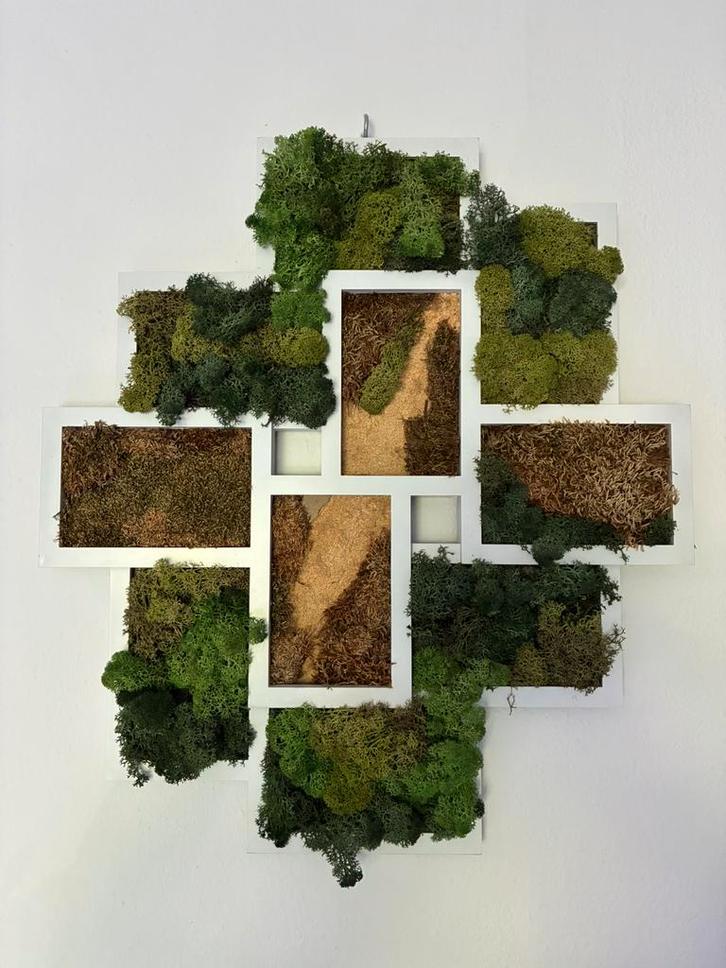 Mos schilderij 54x49cm handgemaakt, Antiek en Kunst, Kunst | Schilderijen | Modern, Ophalen